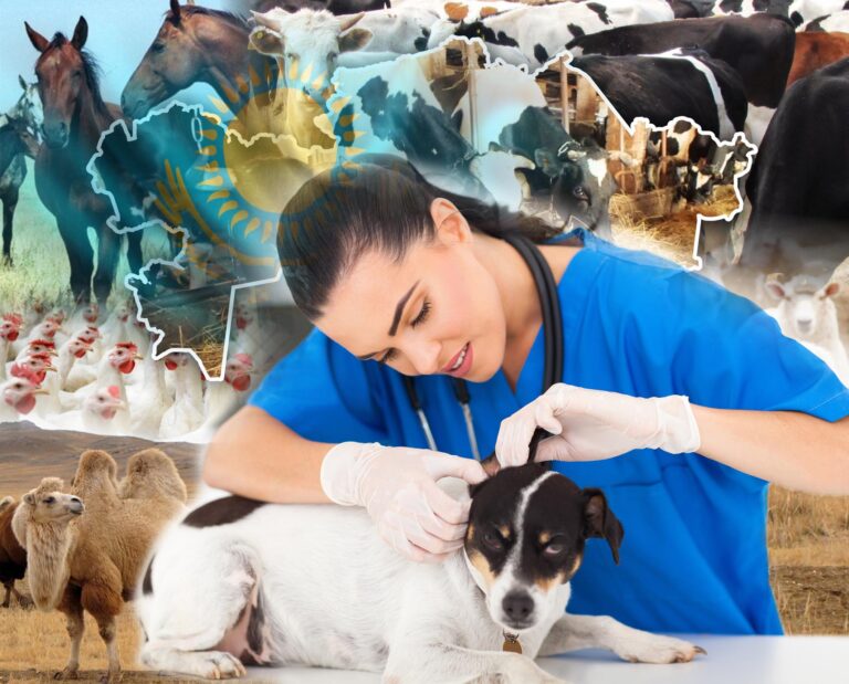 Елімізде мал дәрігерлері тапшы