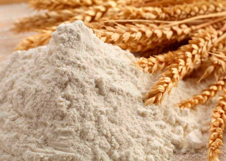 Қазақстанда ұн тапшылығы күтілуде: Диірменшілер бір аптаға жететіндей бидай қоры қалғанын айтып, дабыл қақты