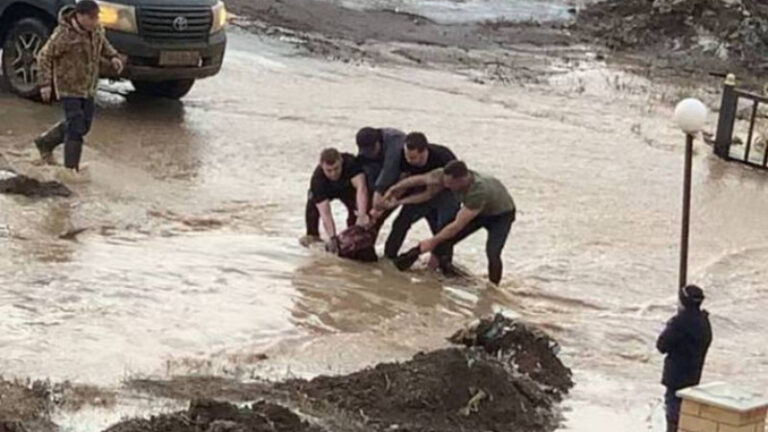 Школьницу затянуло в арык с грязной водой в Актобе
