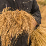 photo_97682