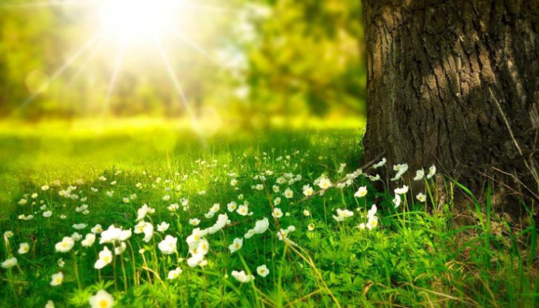 Қазақстанда 1 маусымнан бастап не өзгереді?