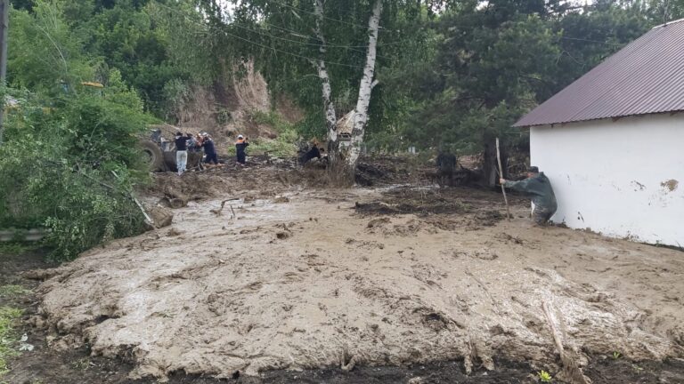 Текелідегі лай көшкінінің алдын ала себебі айтылды