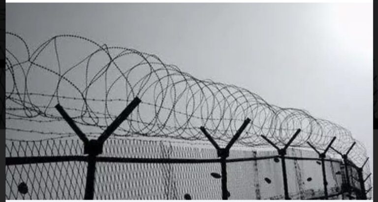 За оскорбление сотрудника службы пробации Нур-Султана и уклонение от отбывания наказания осужденному заменено ограничение свободы на лишение свободы