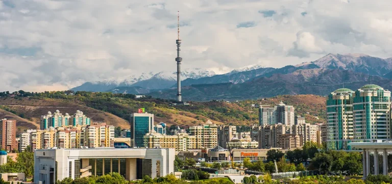 Алматыны бес полиорталыққа бөлмек