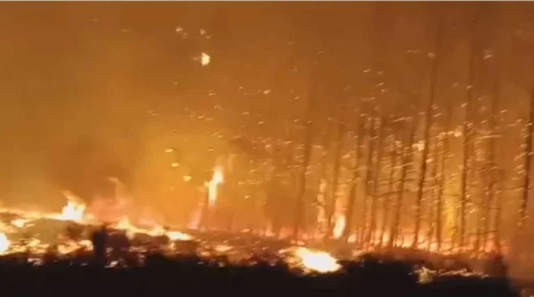 Қостанай облысындағы өртті сөндіріп жатқандарға 2 айлық еңбекақы көлемінде сыйақы беріледі