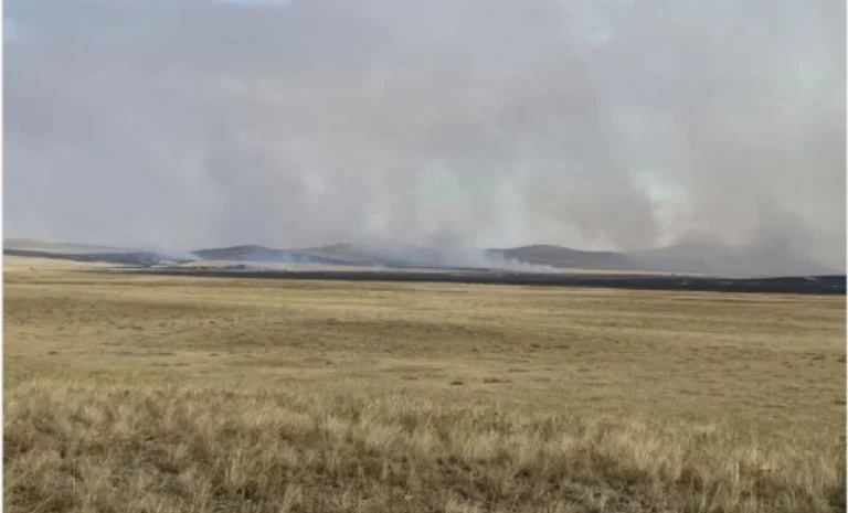 Павлодар облысында дала өртеніп жатыр