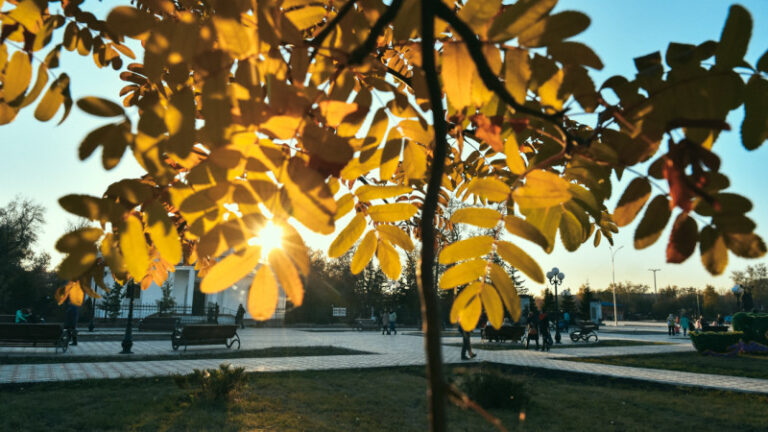 Елімізде алдағы күндері күн жылынады