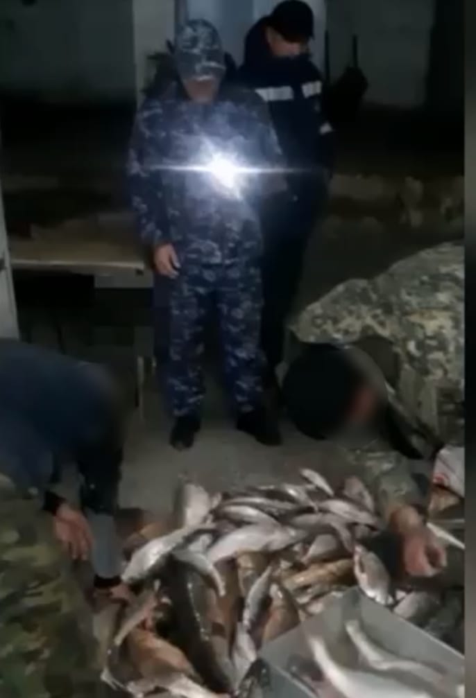 Түркістан облысының полицейлері Шардара су қоймасынан заңсыз балық аулаған 2 браконьерді анықтады