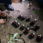 image-7