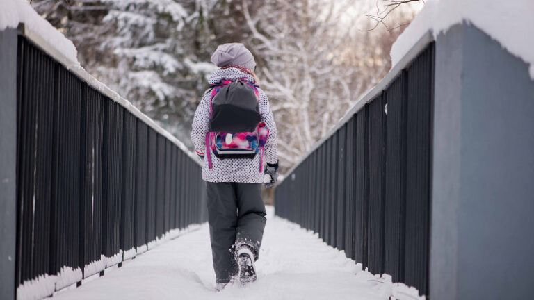 Қазақстандағы бірқатар өңірде оқушылар қашықтан оқуға ауыстырылды