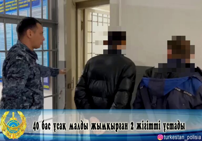 40 бас ұсақ малды жымқырған 2 жігітті ұстады