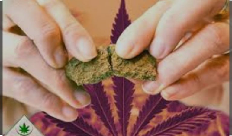 В столичной тюрме, сотрудники оперативного отдела проявив бдительность, предотвратили пронос на территорию учреждения наркотических средств