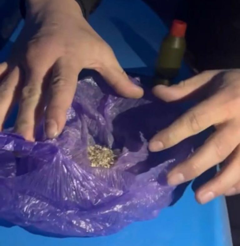 Полицейлер ауыл тұрғындарынан марихуана тәркіледі