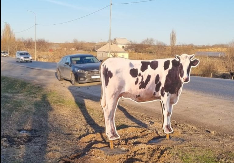 Полицейлердің бастамасымен жол бойына үй жануарларының макеттері қойылуда