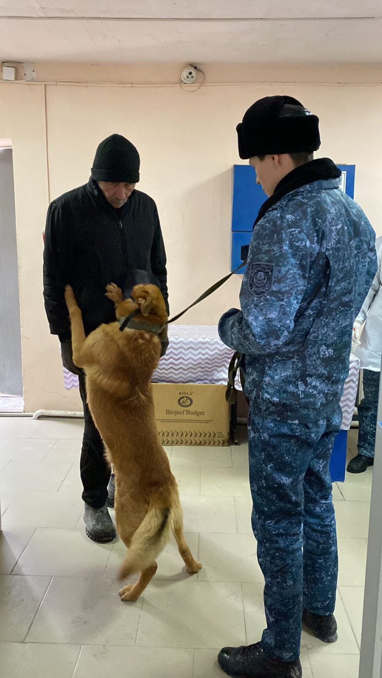 Төрт аяқты тінтуші