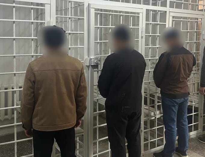 Қорадан қой ұрлап сатқандар ұсталды