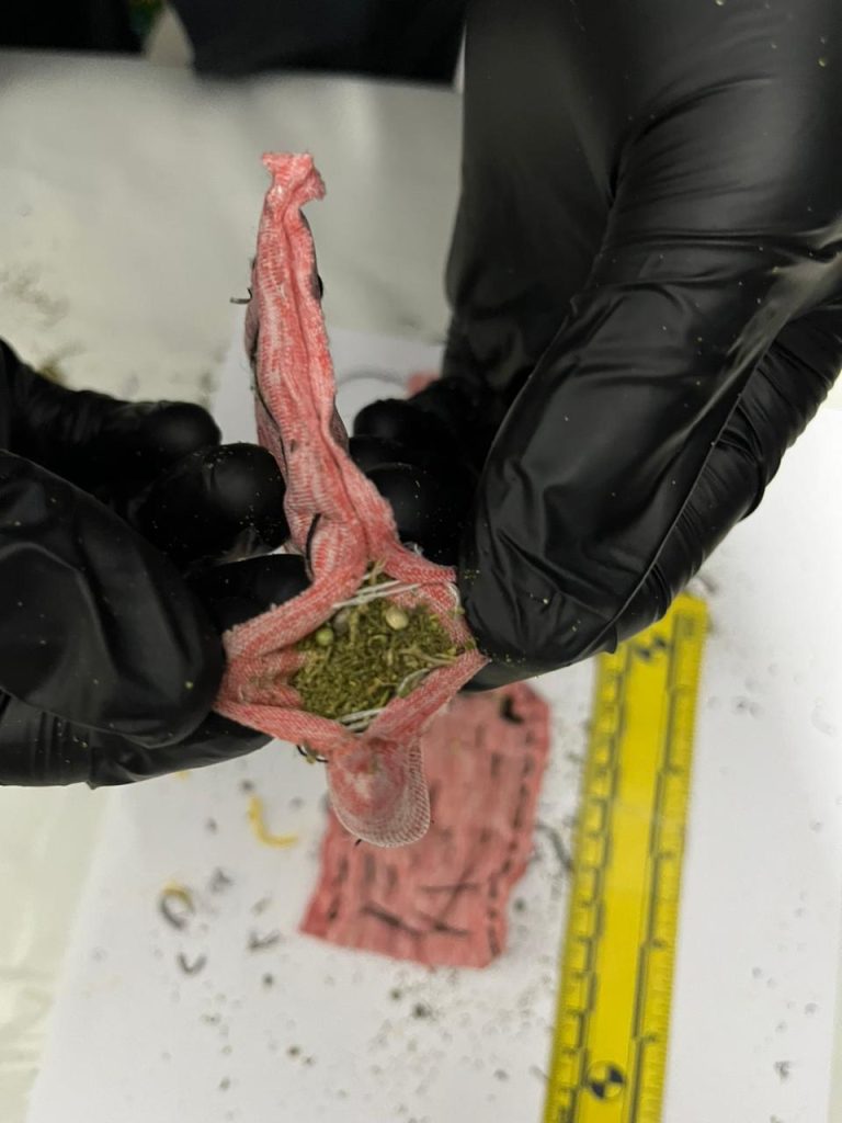 Ақтөбеде тергеу изоляторының қызметкерлері мекемеге келген сәлемдемеден өсімдік тектес зат тәркіледі