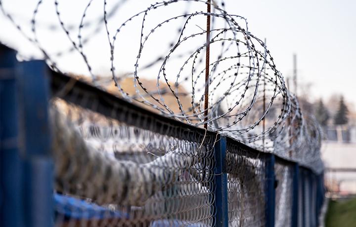 Қамшының сабындай қысқа өмір