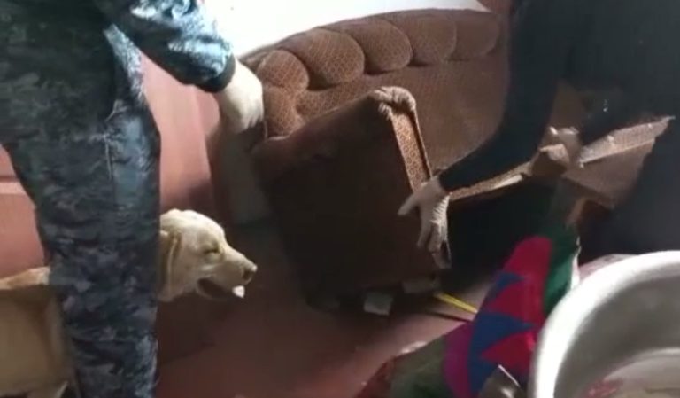 Полицейлер қызметтік итті пайдалана отырып, екі ауылдастың үйінен есірткі тапты