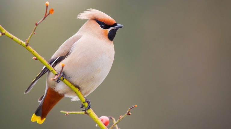 7 наурызға арналған ауа райы болжамы