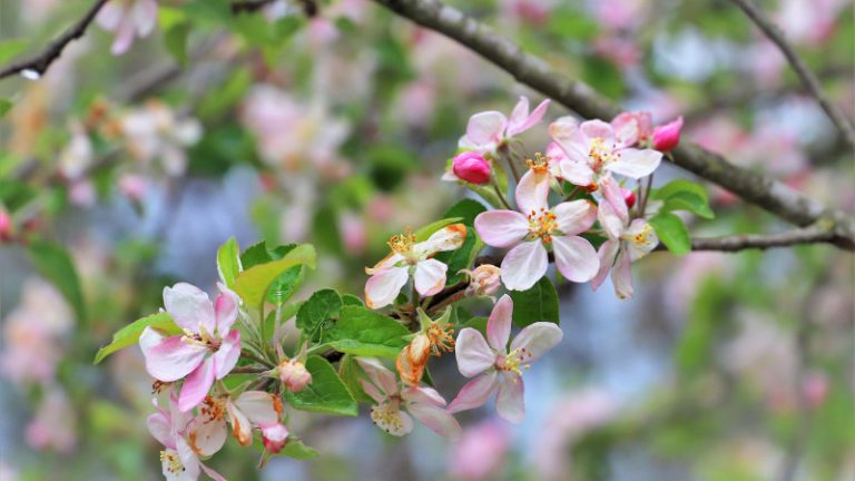 Сәуірде қалай демаламыз