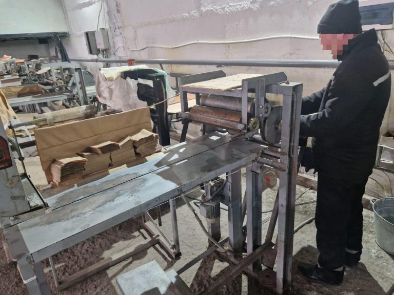 Елорда мекемесіндегі сотталғандар жеке кәсіпорын дарда сәтті еңбек етуде