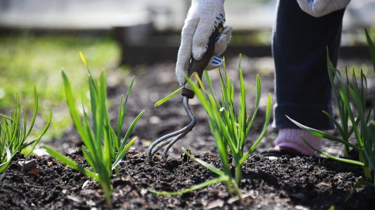 Полицейлер егістік алқаптан кленка орамдарын ұрлаған күдіктіні анықтады