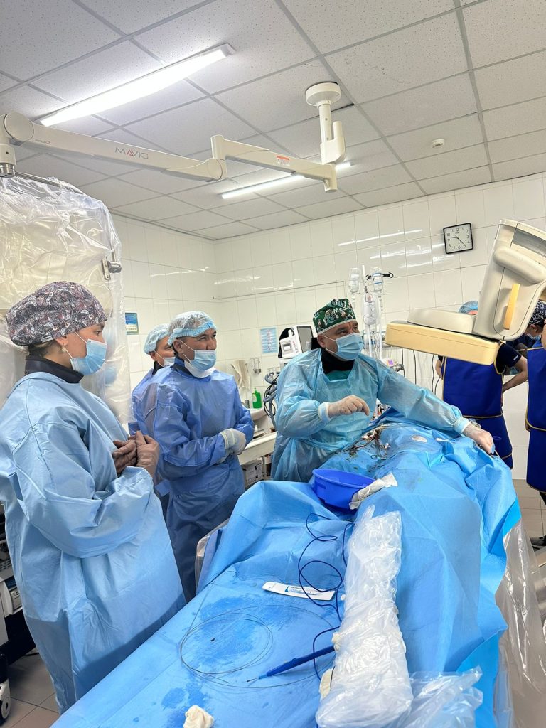 Впервые в Алматинской области проведена операция по имплантации стент-графта в грудную аорту