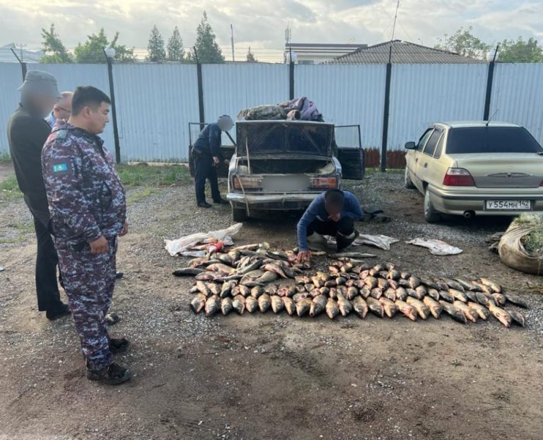 Полицейлер заңсыз ауланған 130 келіге тарта балық тәркіледі
