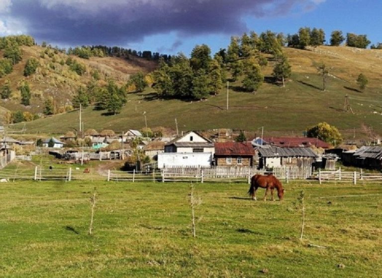 Қазақстанда ауылдардағы тұрмыс деңгейі жақсарады