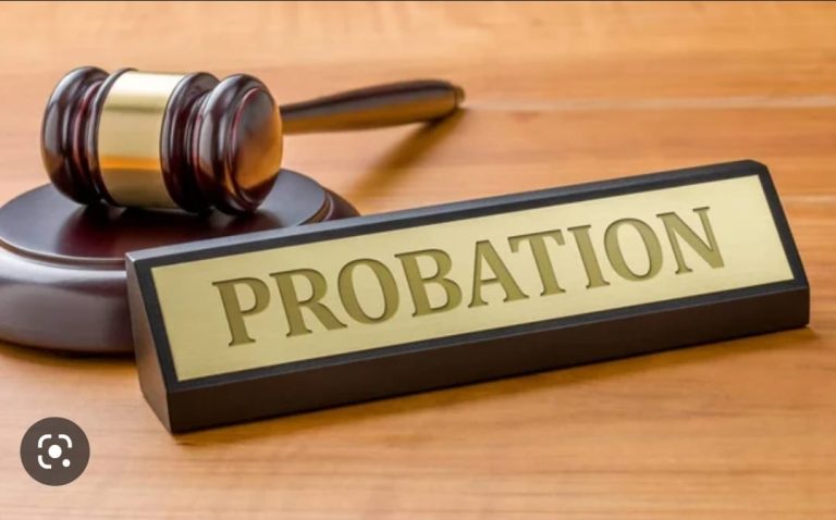 История становления судебной системы