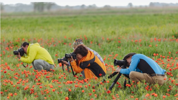 Мұны көру үшін шетелден туристер келеді. Алматыдан 45 шақырым жерде не бар?