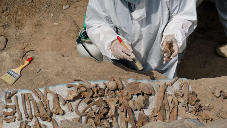 ҚазҰУ ғалымдары сот археологиясының қалыптасуына қатысуда