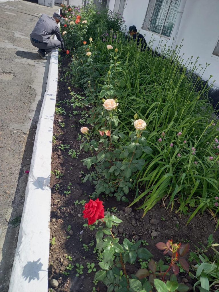 Шаруашылық қызмет көрсету жасағының сотталғандары жұмыстан бос уақыттарын мекеменің ішкі көрінісін абаттандыруға кірісті