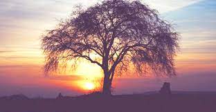 Колготкидегі стриптиз бейнеленген порно видеолар