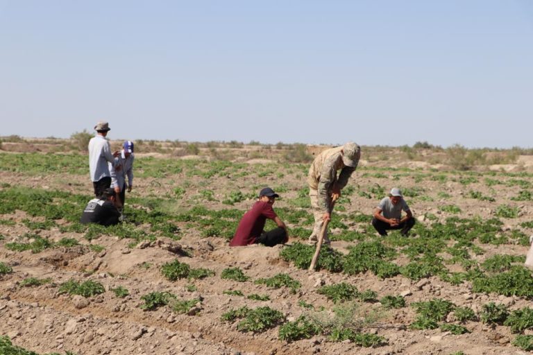 Депутаты Мажилиса встретились с членами сельской молодежной трудовой бригады