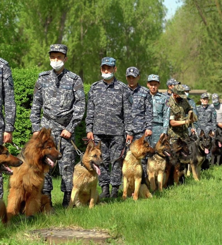 В СЛЕДСТВЕННОМ ИЗОЛЯТОРЕ ПРИ проведения общих обысковых мероприятий начали участвовать служебно-розыскной собаки