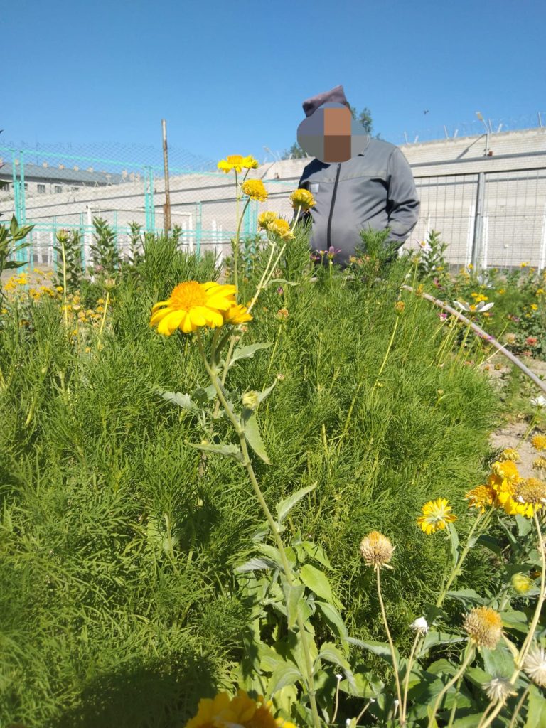 Теміртордағы гүл баптаушысы