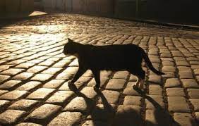 Әскери адаммен жыныстық қатынасты қараңыз