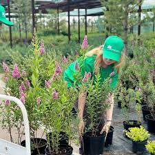 КАЖДЫЙ ПРОЕКТ – АВТОРСКИЙ