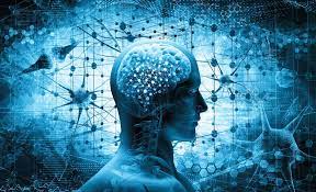 К ОЦЕНОЧНОМУ ОБРАЗУ МЫШЛЕНИЯ