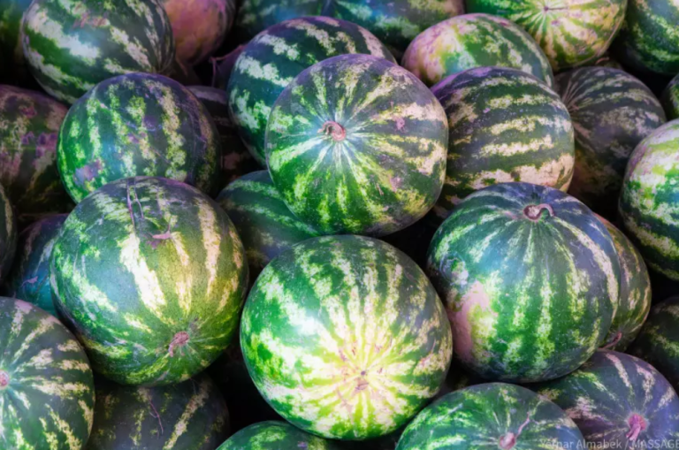 Қарбыздағы нитратты үй жағдайында қалай тексеруге болады?