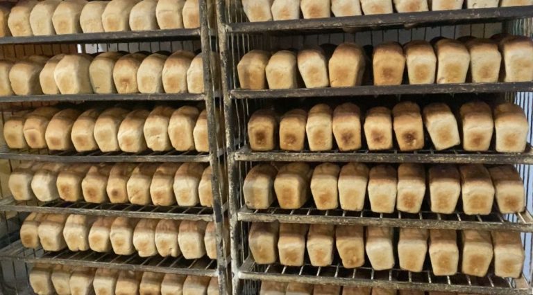 Сотталғандарды жұмыспен қамту жүйелі жүргізілуде