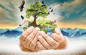 Табиғатты аялау — басты борышымыз!