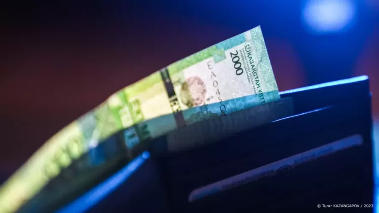 2024 жылы кімдердің жалақысы өседі?