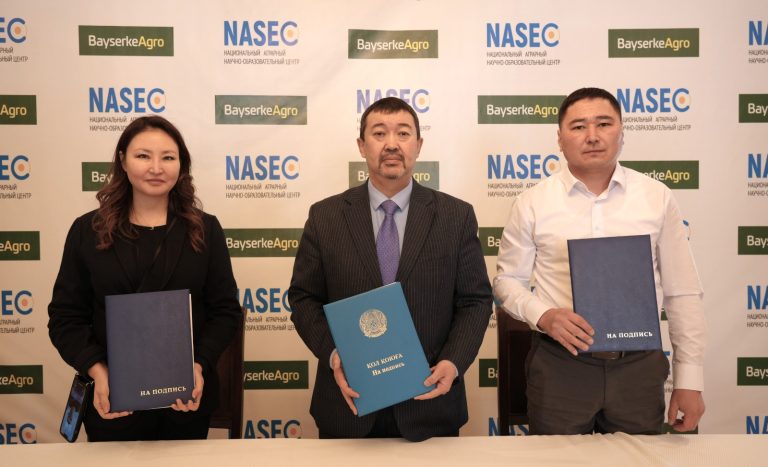 В Казахстане будут возрождать Костанайскую породу лошадей