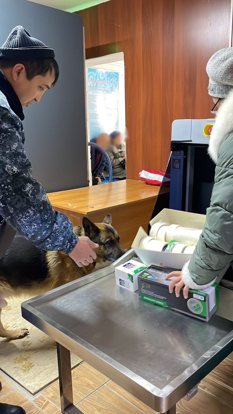 Есіркіге қарсы тексеріс жұмыстары күшейтілді