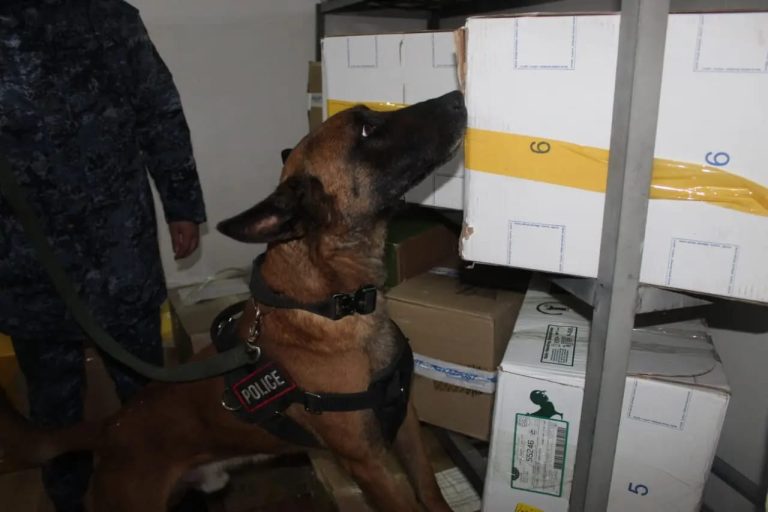 В учреждениях УИС проводится оперативно-профилактическое мероприятие