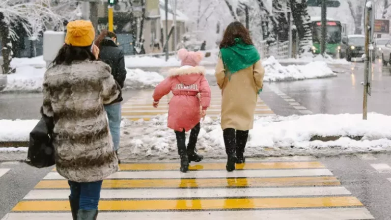«Жасылға өтуге болмайды». Жаяу жүргіншілерге арналған жаңа ереже пайда болуы мүмкін