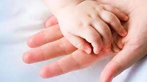 «Аңсаған сәби»: Биыл Алматы облысында 532 квота бөлінді